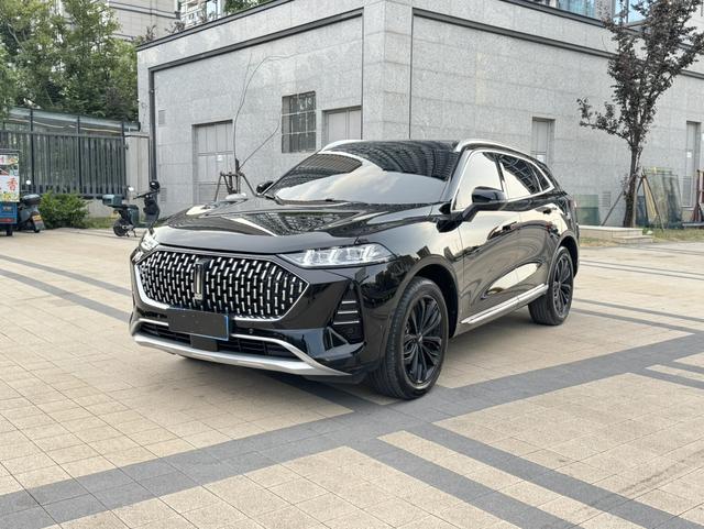 Mocha 2021 2.0T two-wheel drive special alcohol version