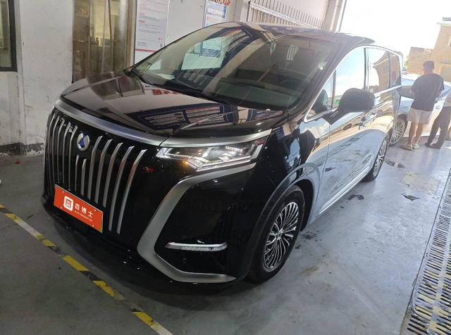 Denza D9 EV 2024 model 620 two-wheel drive exclusive type