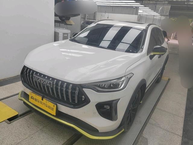 Havalanche 2021 Excite Edition 1.5T Golden Rabbit