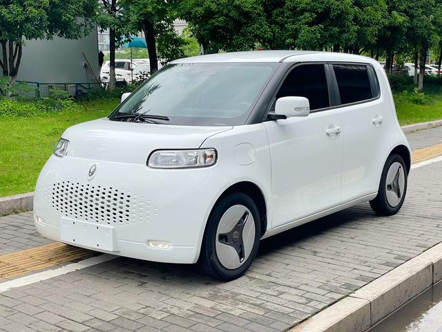 Euler White Cat 2022 upgraded version of 305km luxury ternary lithium