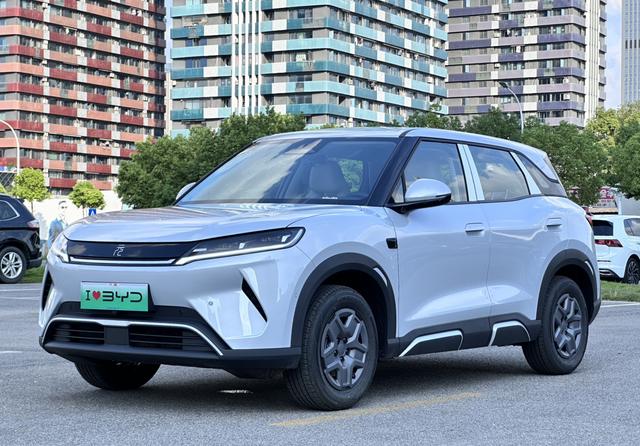 Yuan UP 2025 Smart Driving Version 401KM Vitality Version