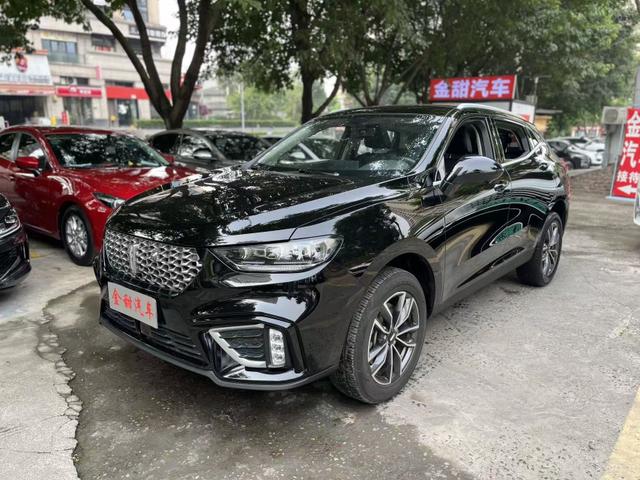 Wei brand VV5 2021 model 1.5T Yan Xianfeng