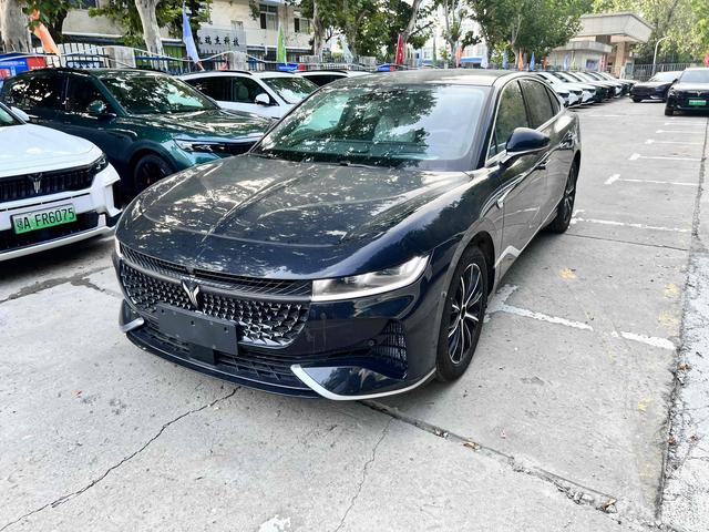 Arcturus Chase PHEV 2024 Ultra Long Range 4WD Executive Edition