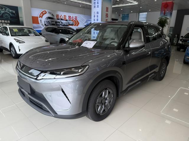 Yuan UP 2025 Smart Driving Version 401KM Vitality Version