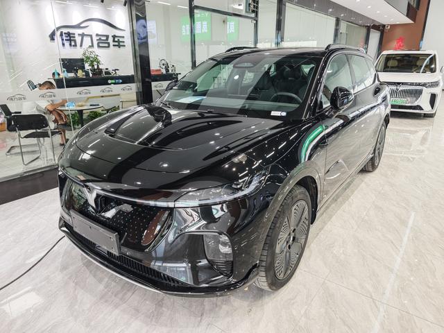 Landu Soulmate 2024 Four-wheel drive Global Edition