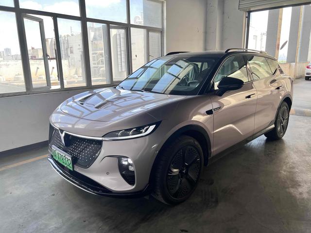 Landu Soulmate 2024 Four-wheel drive Global Edition