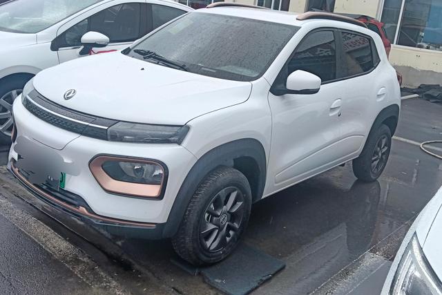 Dongfeng Nano EX1 2022 PRO Yuexing Type