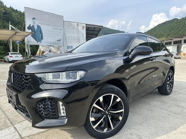 Wei brand VV5 2019 upgraded 2.0T two-wheel drive super luxury national V