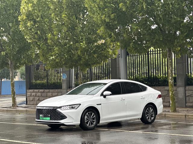 Qin PLUS DM 2024 Glory Version DM-i 55KM Leading Type