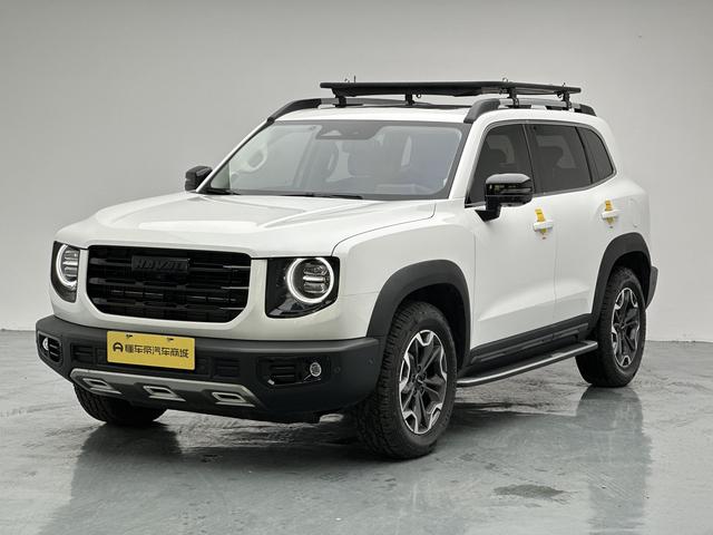 Havoc Big Dog 2022 2.0T 4WD Roaring Dog Edition