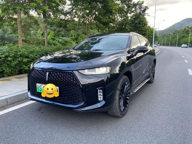 Wei brand P8 2018 2.0T flagship model