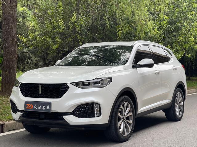 Wei brand VV6 2018 2.0T two-wheel drive flagship national V