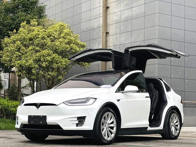Model X 2017 100D Long Range Edition