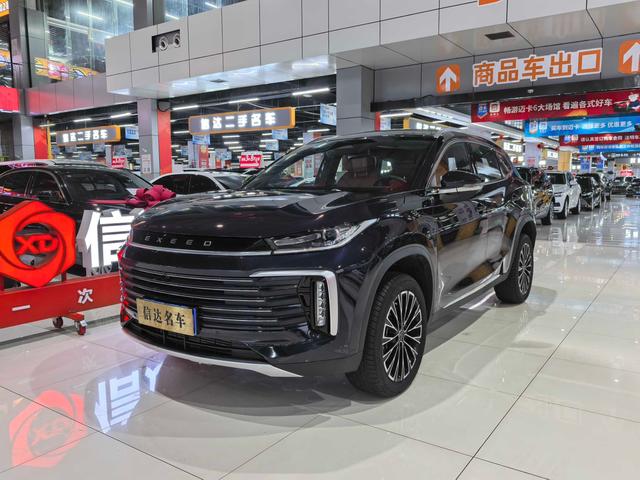 Xingtu Lingyun 2025 300T Two-wheel drive Xingyao Version
