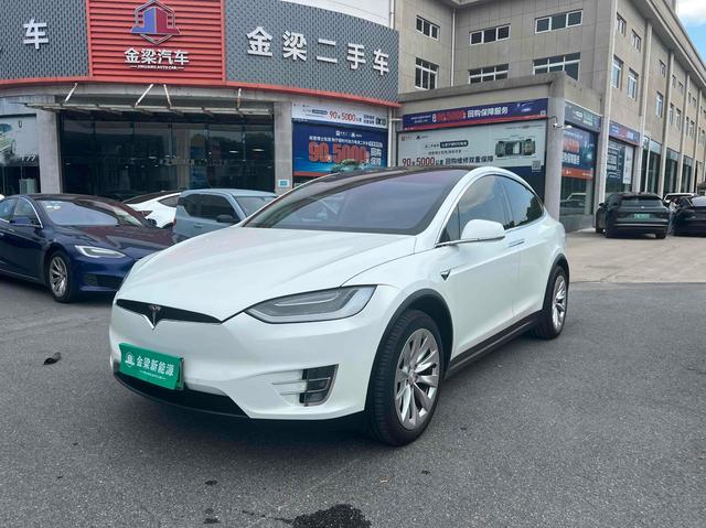 Model X 2017 100D Long Range Edition