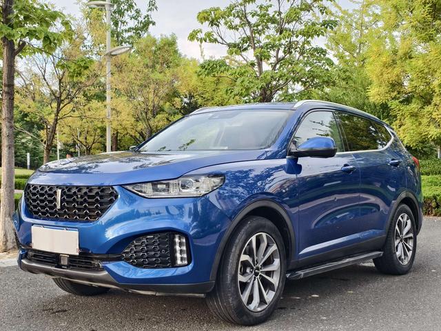 Wei brand VV6 2018 2.0T two-wheel drive super luxury national V
