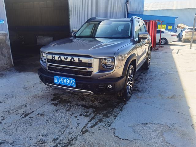 Havoc Big Dog 2022 1.5T 2WD HorseDog Pursuit Edition