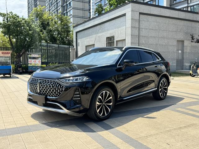 Mocha 2021 2.0T two-wheel drive extra thick version