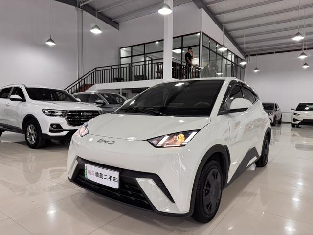Seagull 2025 305KM Vitality Edition