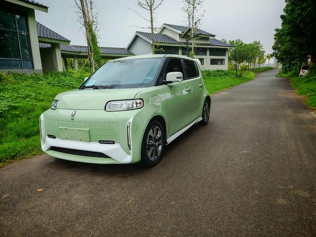 Euler White Cat 2022 Little Wild Cat Version 401km flagship Ternary Lithium