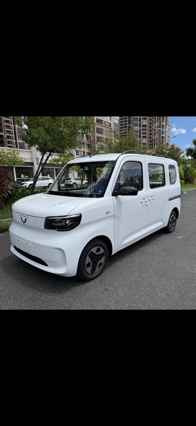 Wuling Zhiguang EV 2025 Aggressive Type