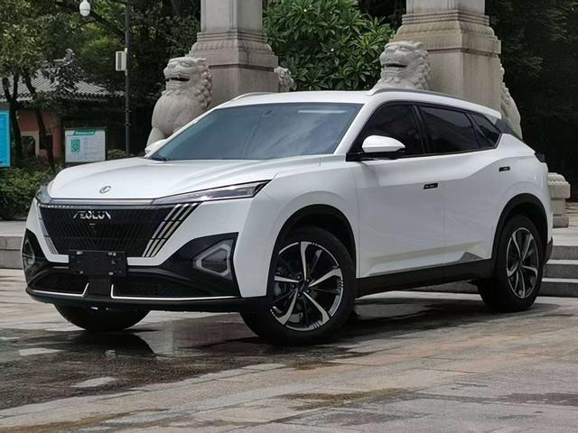 Haohan 2023 1.5T DH-i luxury Type