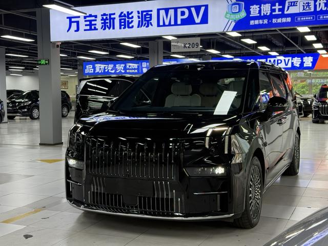 ZEEKR 009 2024 seven-seater aisle version two-wheel drive 108kWh