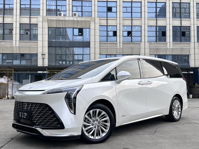 Century 2023 2.0T Six-Seat Embracing World Edition