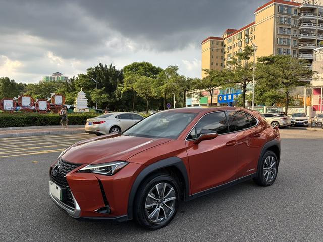 Lexus UX EV 2020 300e Pure-Joy