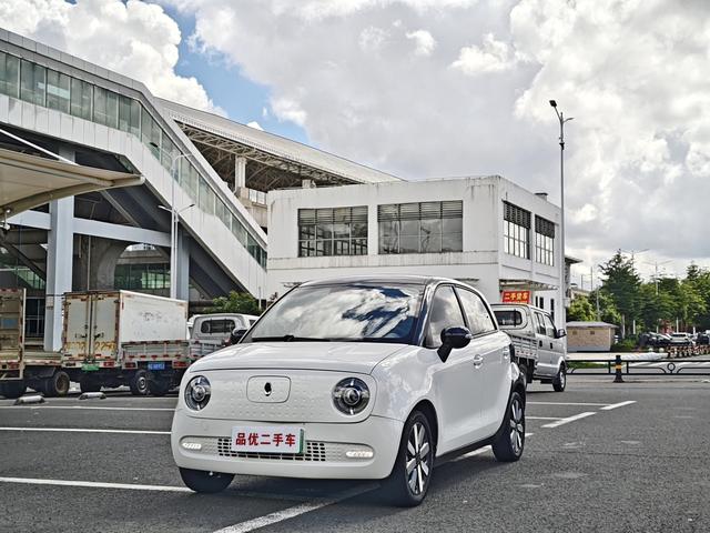 Euler Black Cat 2022 model 351km standard Ternary Lithium