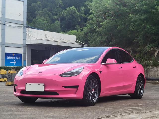Model 3 (Import) 2019 Standard Range Rear Drive Upgrade