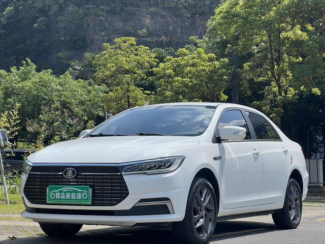 Qin EV 2020 High Range Premium Model