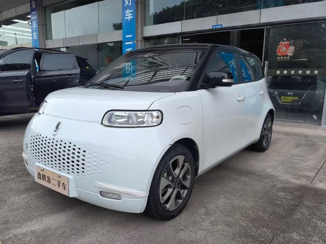 Euler White Cat 2022 upgraded version of 305km luxury ternary lithium