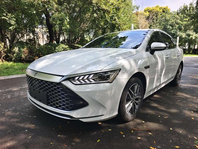 Qin PLUS DM 2023 DM-i Champion Edition 120KM Leading Type