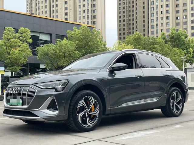 Audi e-tron 2021 50 quattro Pegasus