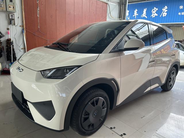 Seagull 2025 305KM Vitality Edition