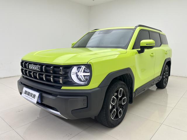 Havoc Cool Dog 2022 1.5T Tide Wild Edition