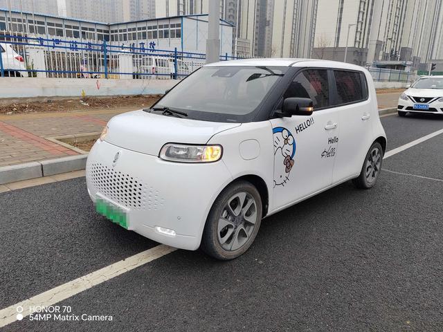Euler White Cat 2020 401km Flagship Model
