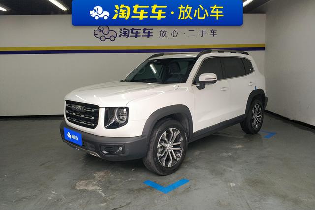 Havoc Big Dog 2022 1.5T 2WD Border Ranch Edition