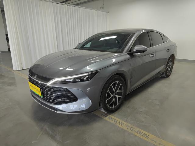Qin L DM 2024 DM-i 80KM transcendent Type