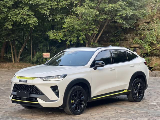 Haval H6S 2022 2.0T Tide Runner 4WD