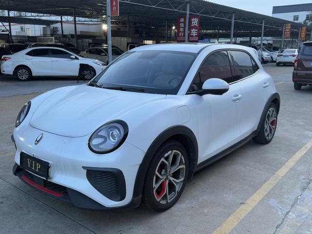 Euler Good Cat GT 2023 Mulan Version 401km Luxury