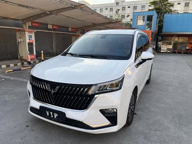 Wuling Jiachen 2022 1.5T CVT Exclusive Flagship Model