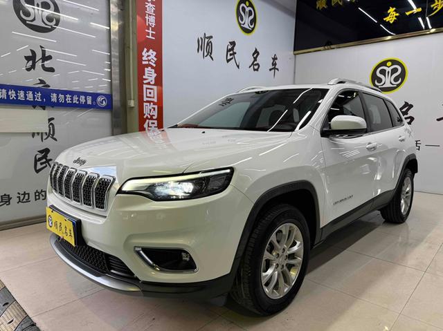 Free Light 2019 2.0T four-wheel drive exclusive edition Country V