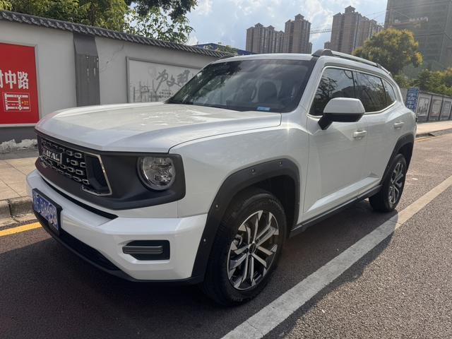 Haval Big Dog PLUS 2023 1.5T two-wheel drive Tide Wild Version Plus