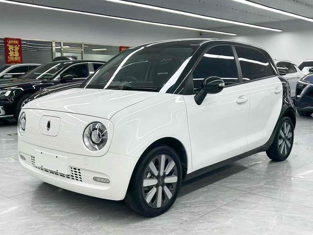 Euler Black Cat 2021 351km Standard