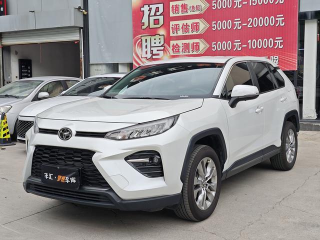 Weilanda 2024 2.0L two-wheel drive leading version