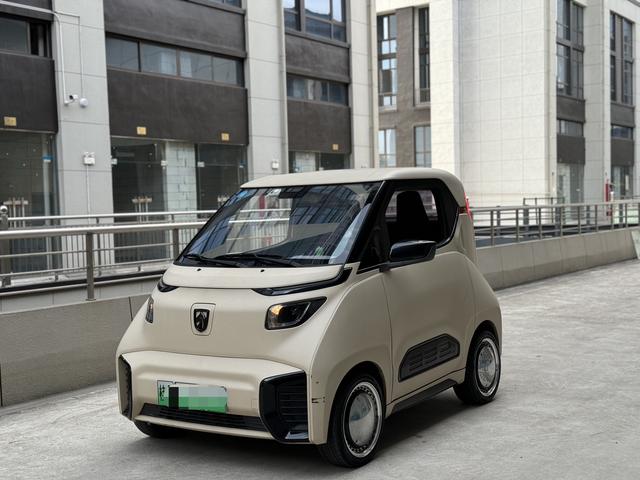 Baojun E200 2019 250KM Intelligent Edition
