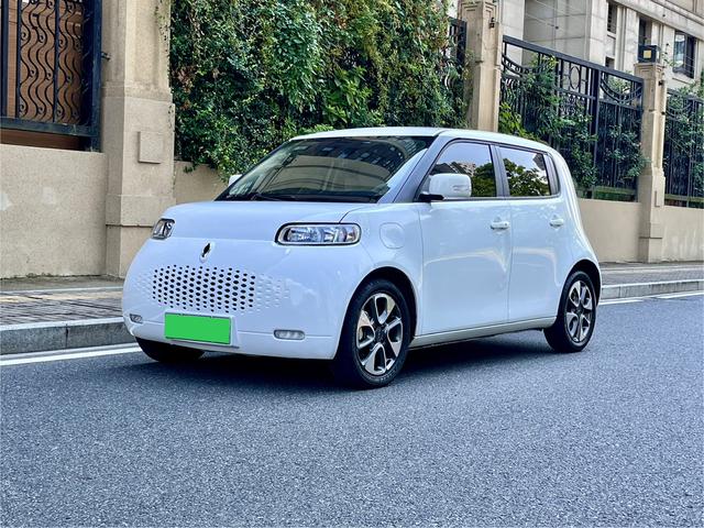 Euler White Cat 2020 Model 305km Luxury Type