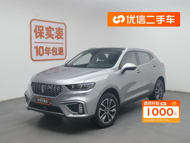 Wei brand VV5 2021 1.5T Smart Pioneer